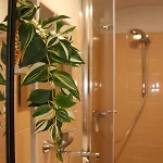 Altbauwohnung Graz