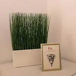Altbauwohnung Apartamento