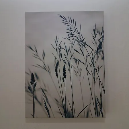 Altbauwohnung Apartamento Graz